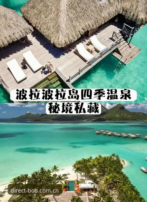 bob半岛最新版本安卓版下载与使用完整指南
